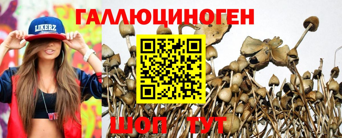 Псилоцибиновые грибы Psilocybine cubensis  Галлюциногенные грибы Psilocybe  купить наркотик  Вход с VPN  Искитим 